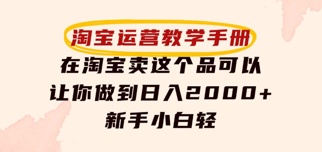 淘宝运营教学手册，在淘宝卖这个品可以让你做到日入2000+，新手小白轻-92资源网