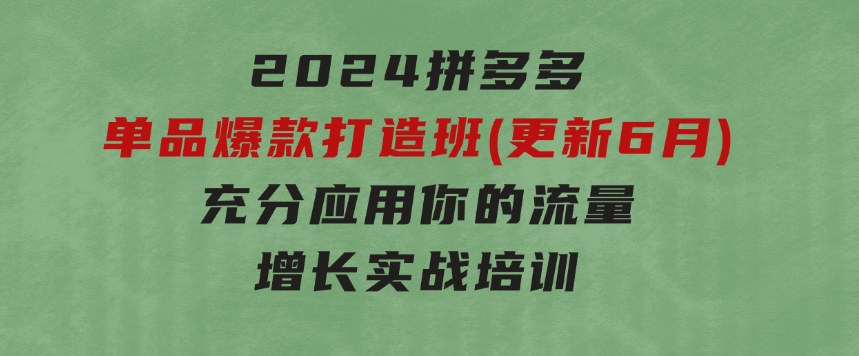 2024拼多多-单品爆款打造班(更新6月)，充分应用你的流量，增长实战培训-92资源网