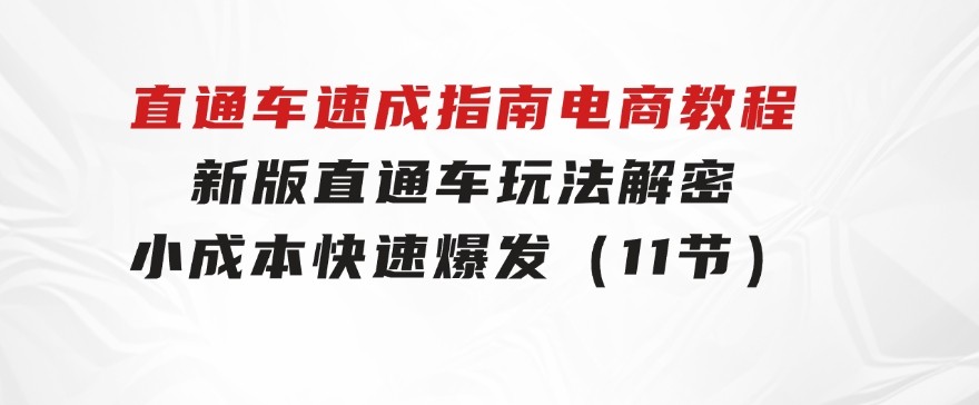 直通车速成指南电商教程：新版直通车玩法解密，小成本快速爆发（11节）-92资源网