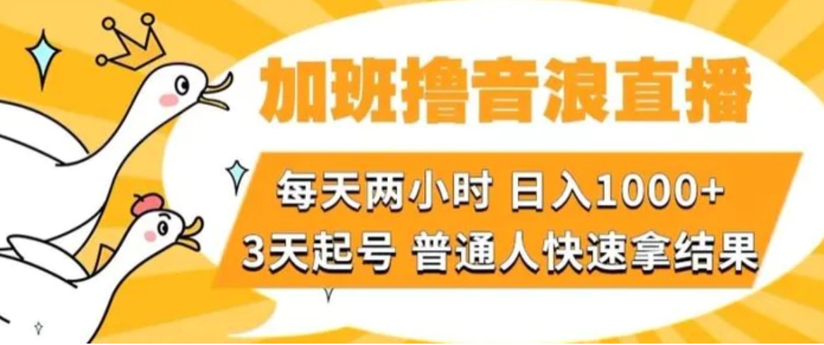 加班撸音浪直播，每天两小时，日入1000+，直播话术才3句，3天起号，普通人快速拿结果【揭秘】-92资源网