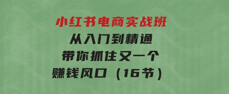 小红书电商实战班，从入门到精通，带你抓住又一个赚钱风口（16节）-92资源网