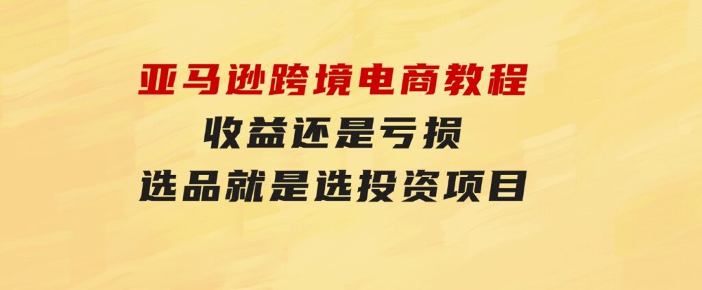 亚马逊跨境电商教程：收益还是亏损！选品就是选投资项目-92资源网