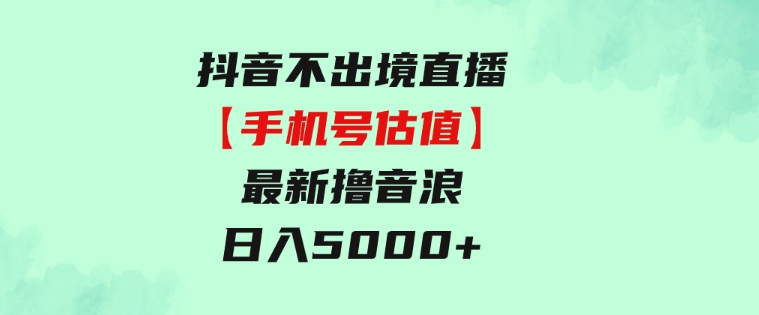 抖音不出境直播【手机号估值】最新撸音浪，日入5000+，简单易学-92资源网