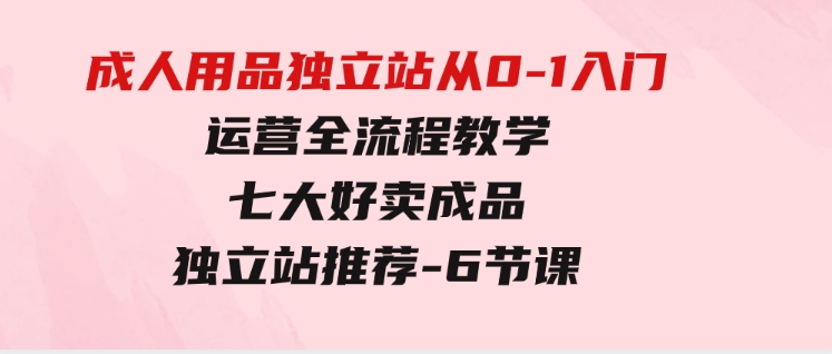 成人用品独立站从0-1入门，运营全流程教学，七大好卖成品独立站推荐-6节课-92资源网