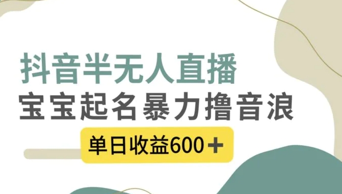 抖音半无人直播，宝宝起名，暴力撸音浪，单日收益600+-92资源网