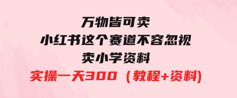 万物皆可卖，小红书这个赛道不容忽视，卖小学资料实操一天300（教程+资料)-92资源网