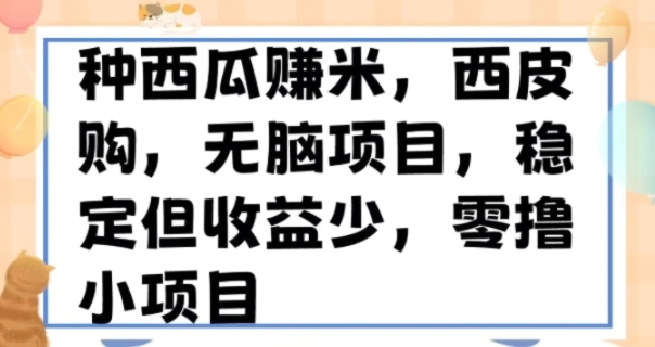 种西瓜赚米，西皮购稳定长久零撸小项目-92资源网