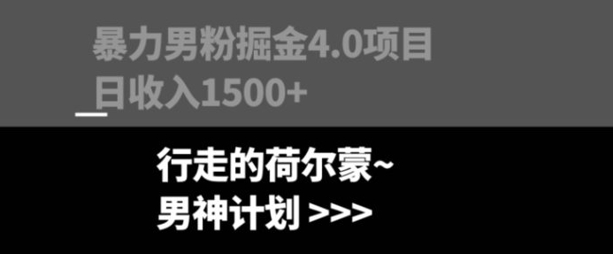 暴力男粉掘金4.0项目不违规不封号无脑复制单人操作日入1000+-92资源网