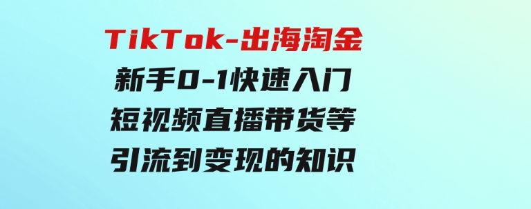 TikTok-出海淘金，新手0-1快速入门短视频直播带货等引流到变现的知识-92资源网