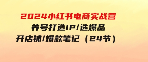 2024小红书电商实战营，养号打造IP/选爆品/开店铺/爆款笔记/等等（24节）-92资源网