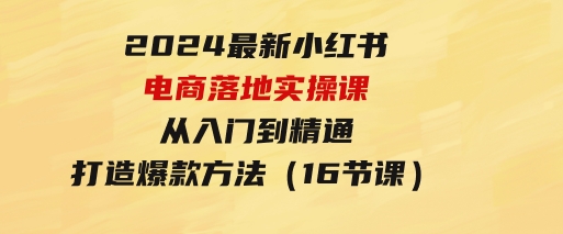 2024最新小红书电商落地实操课，从入门到精通，打造爆款方法（16节课）-92资源网