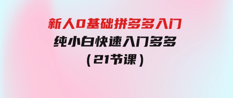 新人0基础拼多多入门，​纯小白快速入门多多（21节课）-92资源网