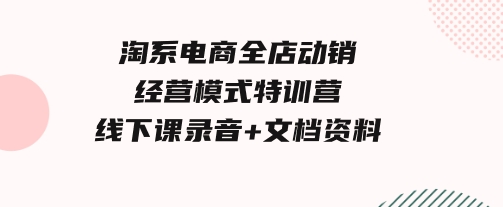 淘系电商全店动销经营模式特训营，线下课录音+文档资料-92资源网