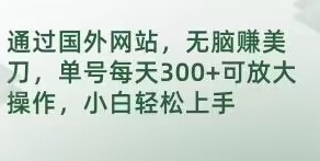 通过国外网站，无脑赚美刀，单号每天300+可放大操作，小白轻松上手【揭秘】-92资源网