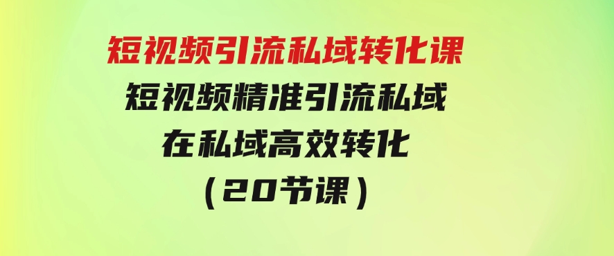 短视频引流私域转化课，短视频精准引流私域，在私域高效转化（20节课）-92资源网