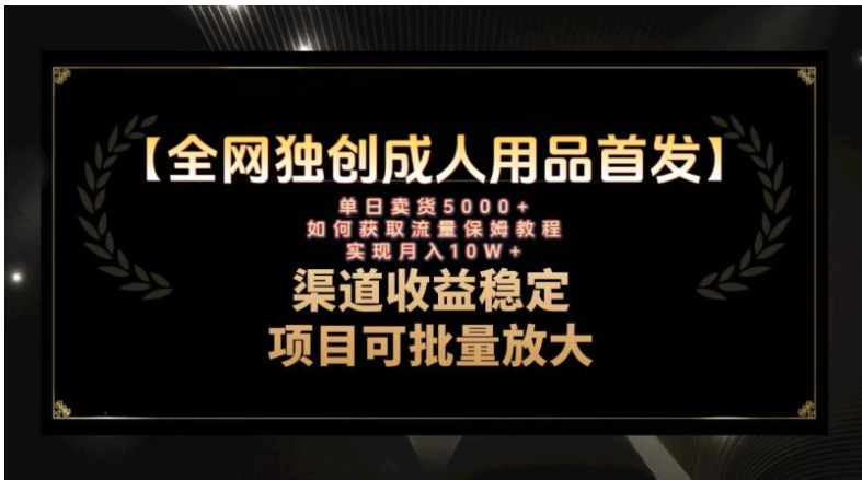 最新全网独创首发，成人用品赛道引流获客，月入10w保姆级教程-92资源网