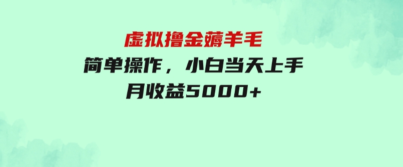 虚拟撸金薅羊毛，简单操作，小白当天上手，月收益5000+-92资源网