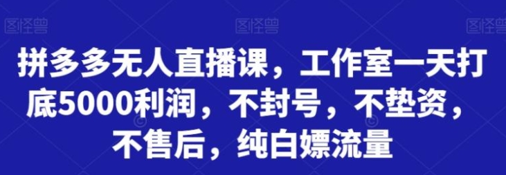 拼多多无人直播课，工作室一天打底5000利润，不封号，不垫资，不售后，纯白嫖流量-92资源网