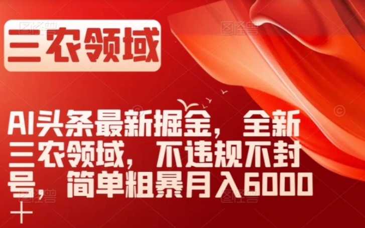 AI头条最新掘金，全新三农领域，不违规不封号，简单粗暴月入6000＋【揭秘】-92资源网