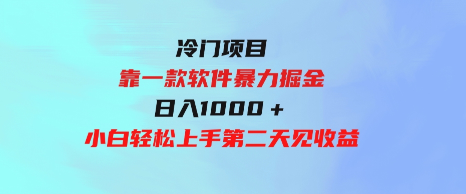 （9791期）冷门项目，靠一款软件暴力掘金日入1000＋，小白轻松上手第二天见收益-92资源网