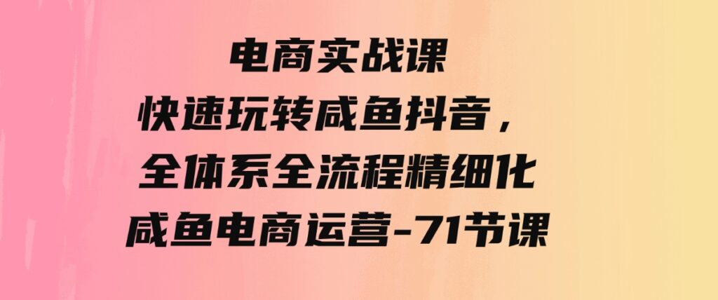 （9528期）电商实战课，快速玩转咸鱼抖音，全体系全流程精细化咸鱼电商运营-71节课-92资源网