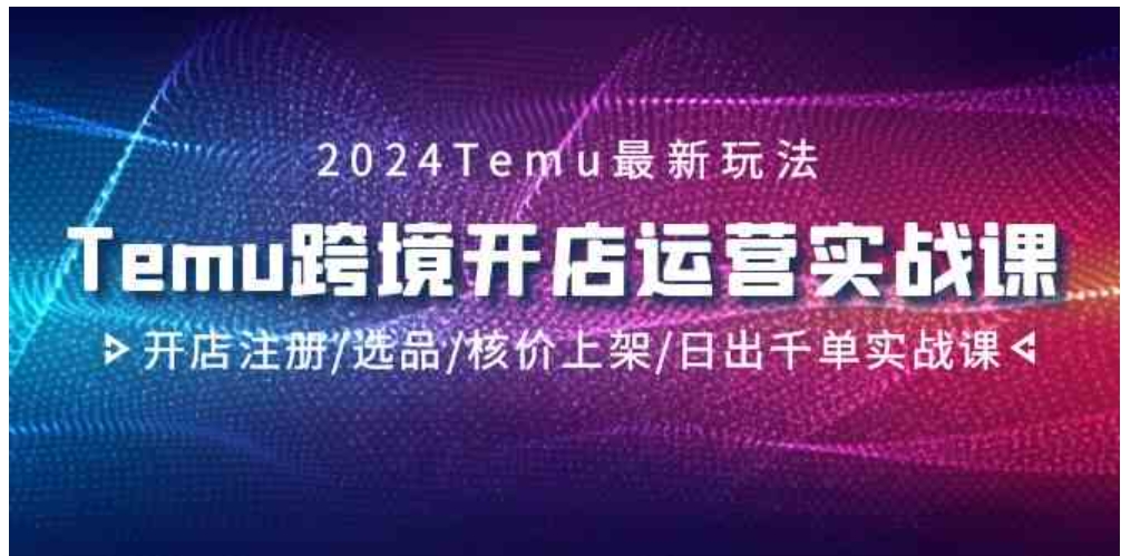 （9208期）2024Temu跨境开店运营实战课，开店注册/选品/核价上架/日出千单实战课-92资源网