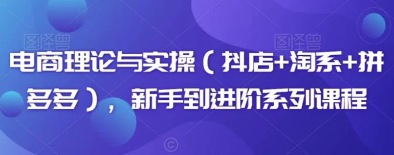 电商理论与实操，新手到进阶系列课程-92资源网