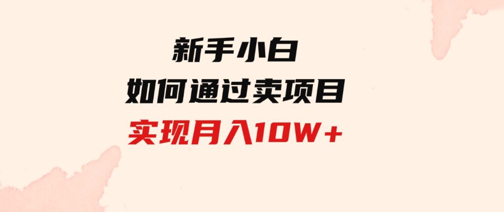 （9556期）新手小白如何通过卖项目实现月入10W+-92资源网