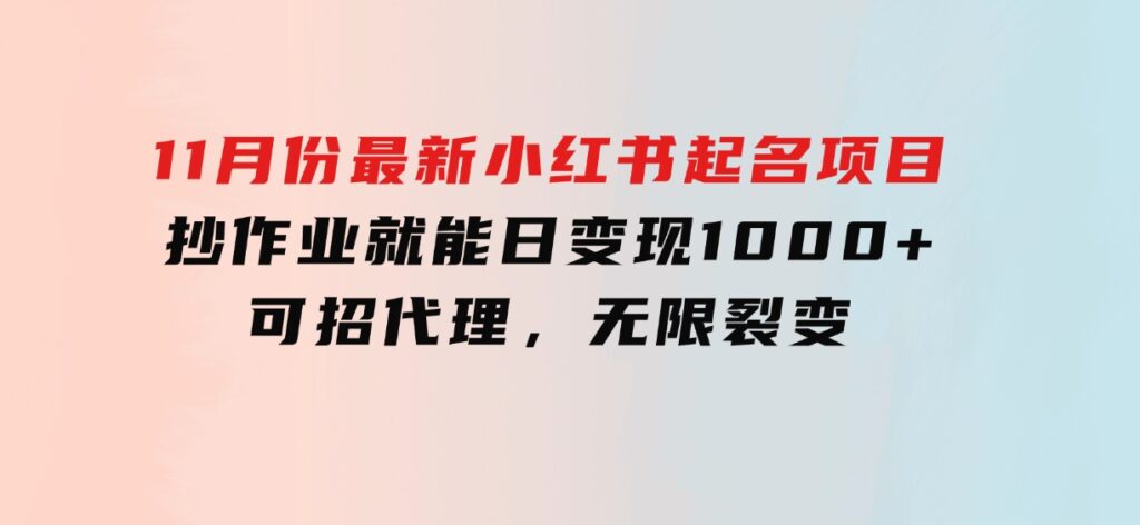 11月份最新小红书起名项目，抄作业就能日变现1000+，可招代理，无限裂变-92资源网