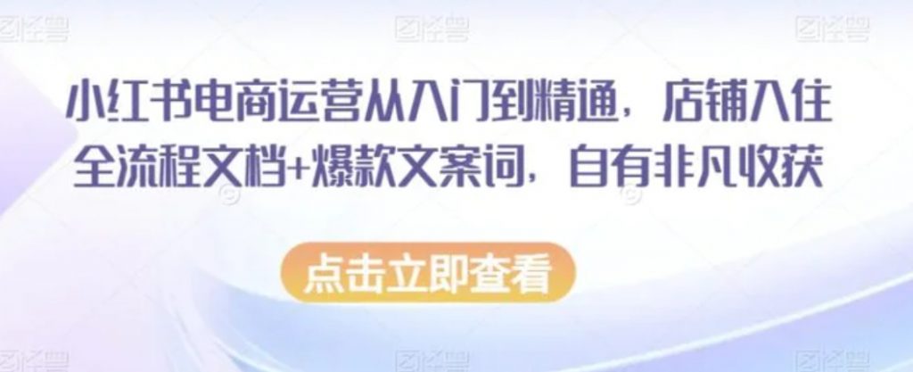 小红书电商运营从入门到精通,店铺入住全流程文档+爆款文案词,自有非凡收获-副业项目资源网