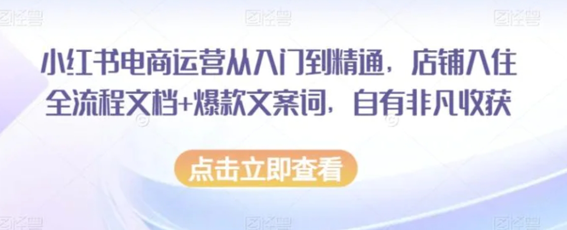 小红书电商运营从入门到精通，店铺入住全流程文档+爆款文案词，自有非凡收获-92资源网