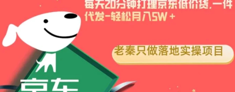 每天20分钟打理京东低价货，一件代发-轻松月入5W＋-92资源网