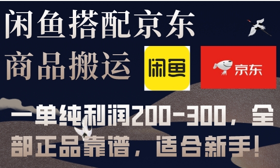 闲鱼搭配京东备份库搬运，一单纯利润200-300，全部正品靠谱，适合新手！-92资源网