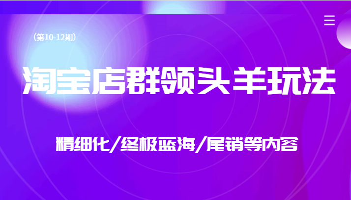 淘宝店群领头羊玩法，精细化/终极蓝海/尾销等内容-92资源网