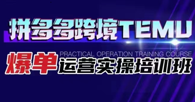 拼多多跨境TEMU爆单运营实操培训班海外拼多多的选品、运营、爆单-92资源网
