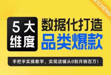 5大维度，数据化打造电商品类爆款特训营，一套高效运营爆款方法论-92资源网