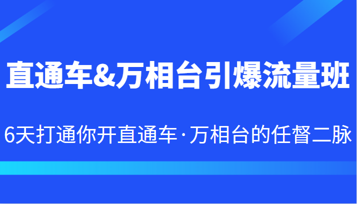 直通车&万相台引爆流量班6天打通你开直通车·万相台的任督二脉-92资源网