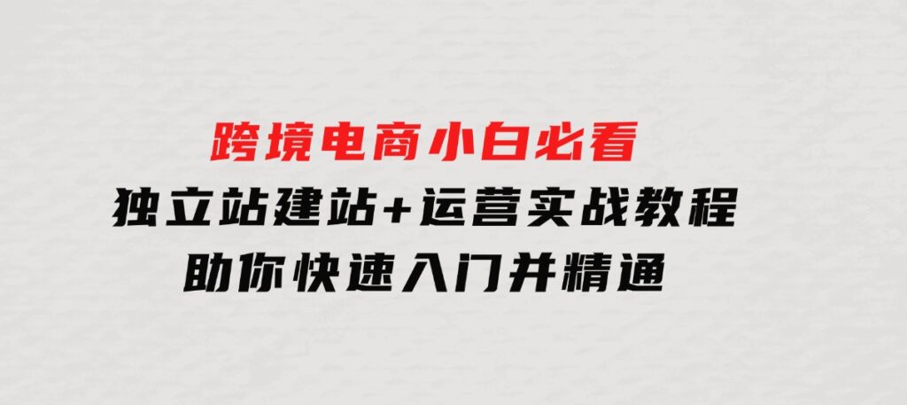 跨境电商小白必看！独立站建站+运营实战教程，助你快速入门并精通-92资源网