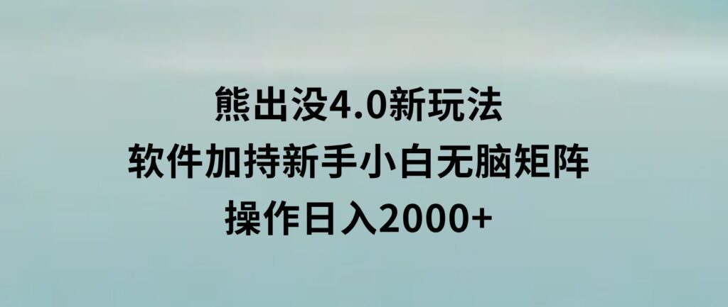 熊出没4.0新玩法，软件加持，新手小白无脑矩阵操作，日入2000+-92资源网