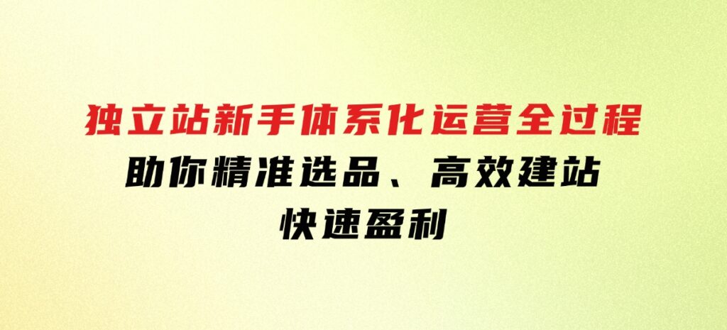 独立站新手体系化运营全过程，助你精准选品、高效建站、快速盈利-92资源网