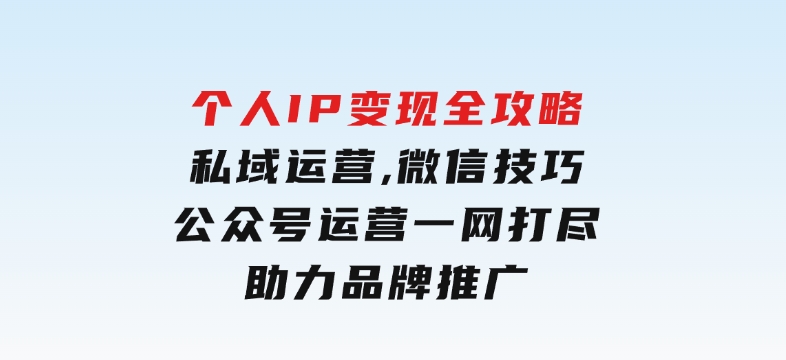 个人IP变现全攻略：私域运营,微信技巧,公众号运营一网打尽,助力品牌推广-92资源网