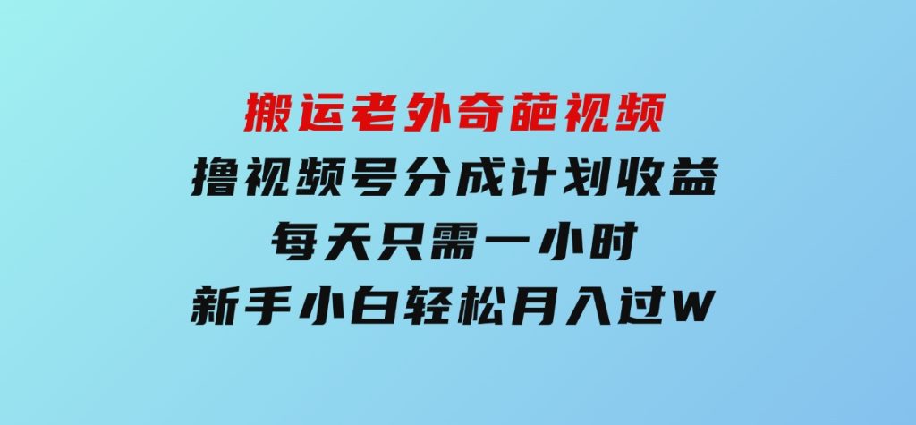 搬运老外奇葩视频，撸视频号分成计划收益，每天只需一小时，新手小白轻松月入过W-92资源网