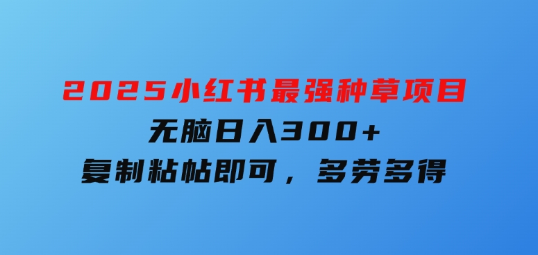 2025小红书最强种草项目，无脑日入300+，复制粘帖即可，多劳多得-92资源网