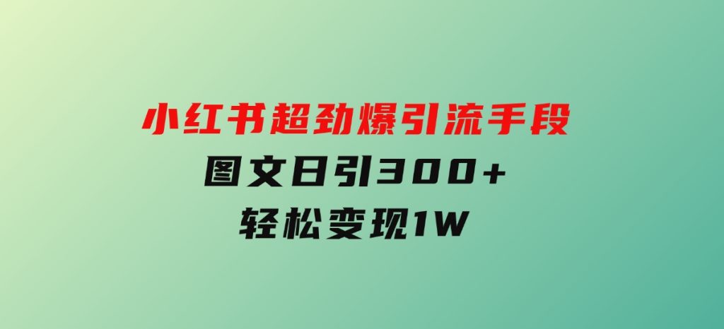 小红书超劲爆引流手段，图文日引300+轻松变现1W-92资源网