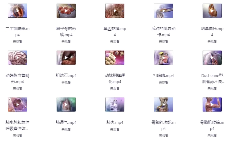 《人体器官医学解说》视频字幕版 科普人体-92资源网