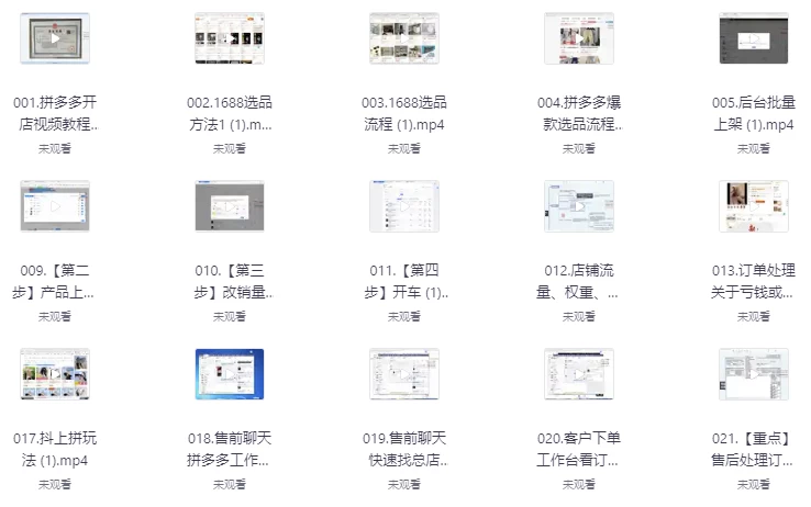 拼多多精细化运营店铺0-1，从零起步到爆单详细教程-副业项目资源网