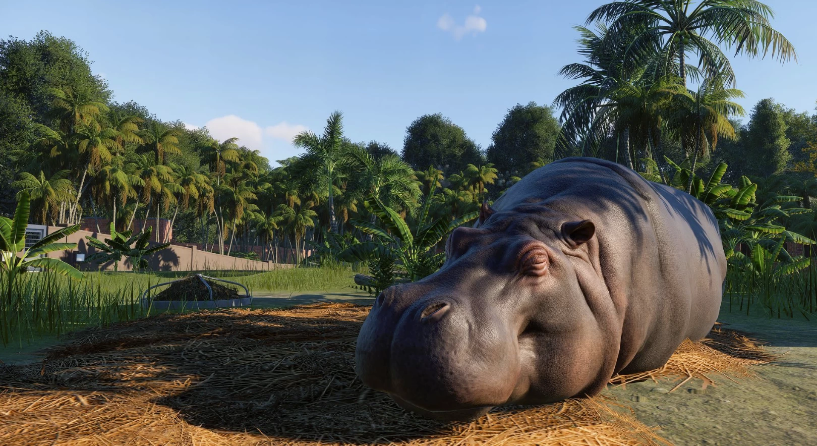《Planet Zoo 动物园之星》v1.2.5.63260 官方中文版-92资源网