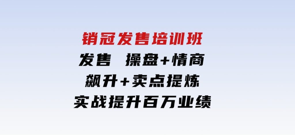 销冠 发售培训班：发售 操盘+情商 飙升+卖点 提炼，实战提升百万业绩-92资源网