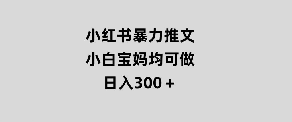 小红书暴力推文，小白宝妈均可做，日入300＋-92资源网