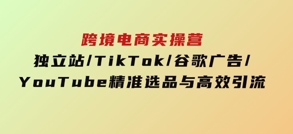 跨境电商实操营：独立站/TikTok/谷歌广告/YouTube，精准选品与高效引流-92资源网